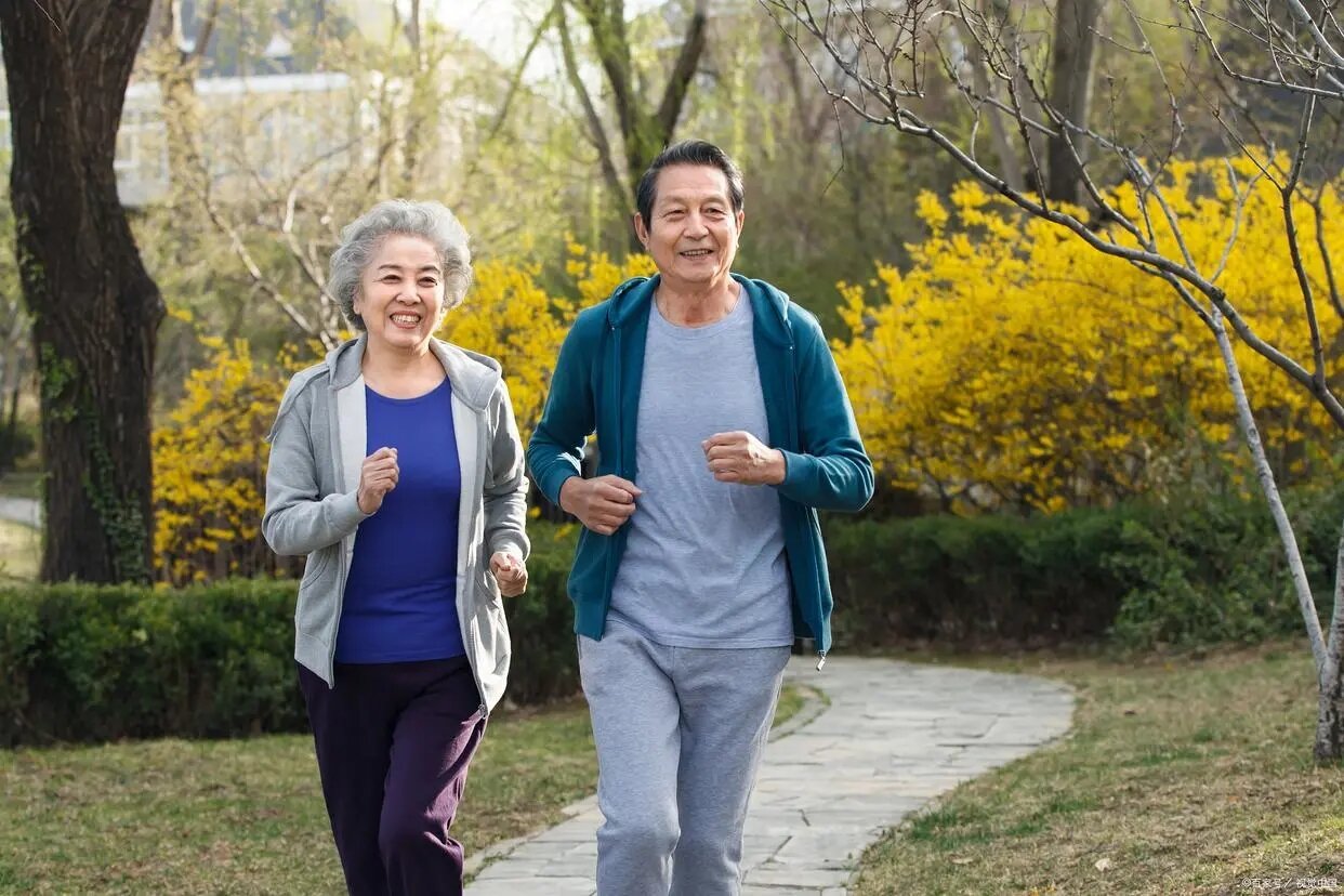 探究骨骼的秘密：从结构功能到健康守护