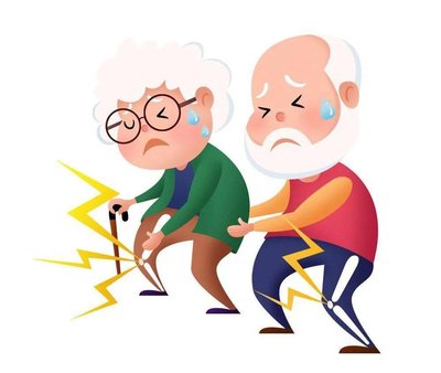 骨骼健康早预警：骨密度检测仪的筛查效能与意义